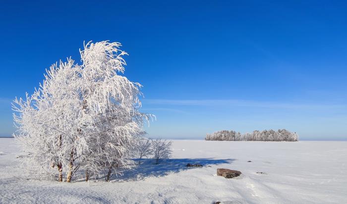 Maaliskuun aurinkoa pakkasyön jälkeen.