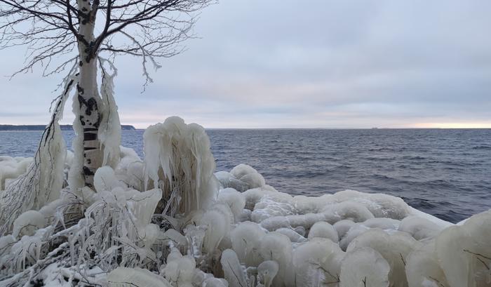 Jääkuorrutusta Oulujärven rannalla.