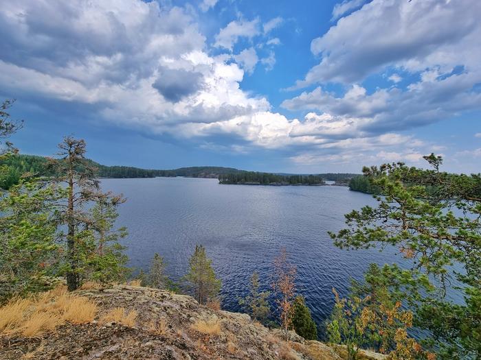 Kuivuuden ja kuumuuden seuraukset näkyvät luonnossa eri puolilla Suomea.