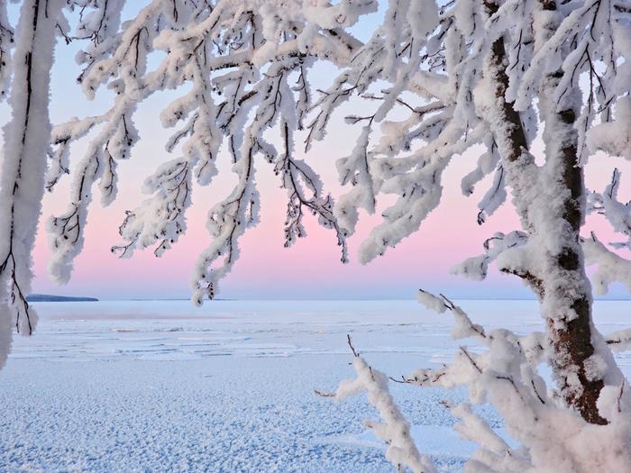 Kaunis ja kylmä pakkaspäivä Rääkkylässä.