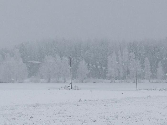 Lumisateita Petjärvellä.