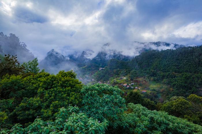 Pilvien tasolla Madeiran vuorilla.