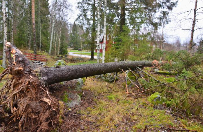 Liisa-myrskyn tuhoja Isossakyrössä.