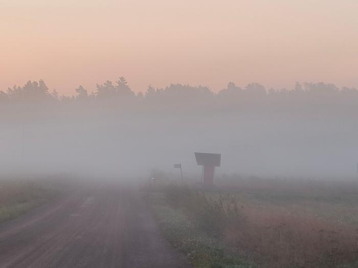 Sankka sumu verhosi maisemaa Petjärvellä.