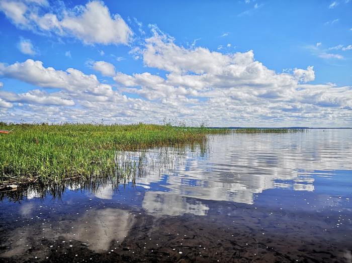 Elokuinen päivä.