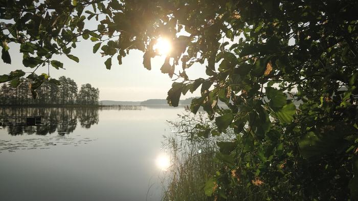 Elokuinen aamu Saimaalla.