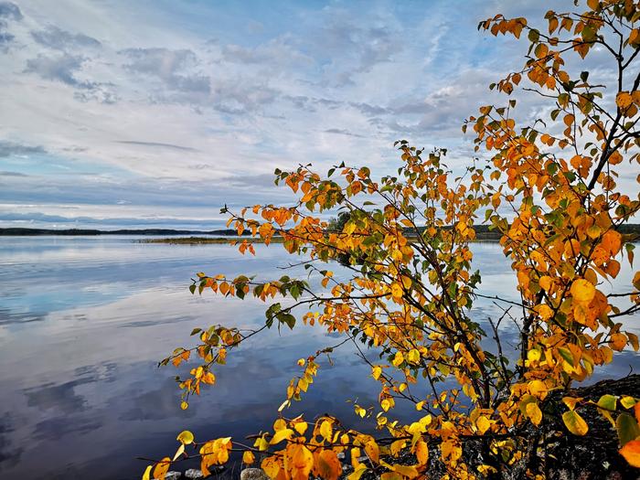 Syyskuun ruskaa Pielisen rannalla.