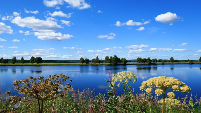 Elokuinen päivä Kemijoen rannalla.