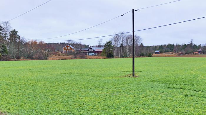 Hyvin lauha jouluviikko sulattaa lumia varsinkin maan etelä- ja keskiosasta. Joulunpyhien jälkeen maan etelä- ja länsiosassa on ennusteen mukaan monin paikoin lumetonta.