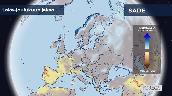 ECMWF:n ennuste sademäärien poikkeamista loka–joulukuulle 2024 Eurooppaan.