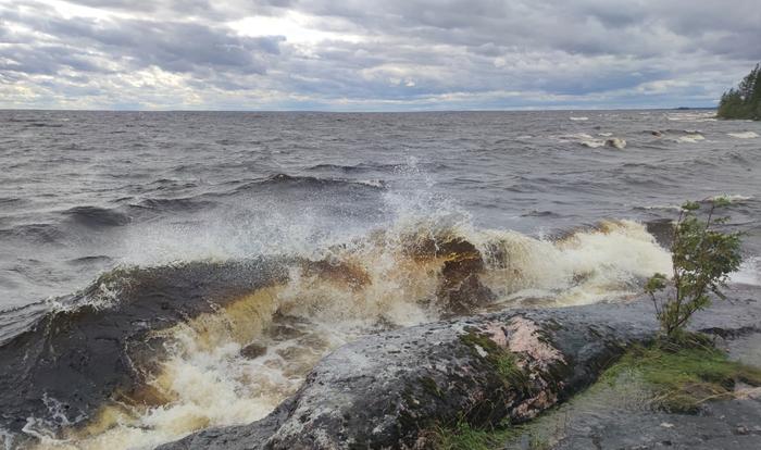 Aaltoja tuulisena päivänä.