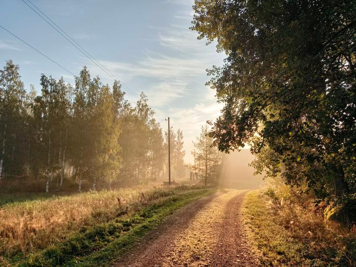 Aamuaurinko kajastaa puiden takaa.