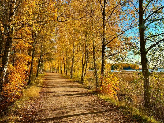 Aurinkoinen syyspäivä rannikolla.