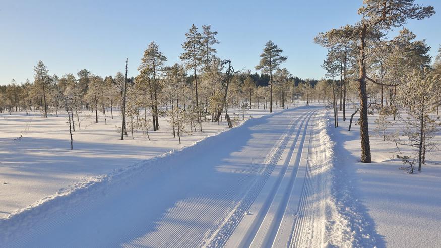 Neljän viikon kuukausiennuste: Talvisään ystävien kannattaa nauttia nyt – näkyvissä jo iso käännös säähän