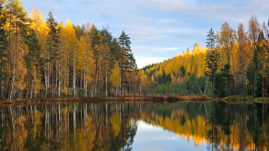 Sää lämpenee alkuviikon jälkeen: Aurinkoisia syyspäiviä tulossa suureen osaan maata