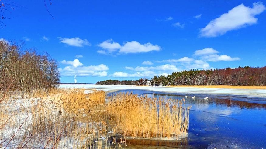 15 vuorokauden ennuste Niemenhaka, Lohja 