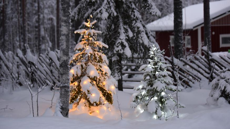 Loppuvuoden kuukausi­ennuste keikahti kylmempään suuntaan – näin meteorologi kommentoi joulun lumitilannetta nyt