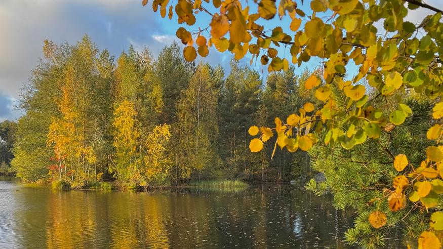 Syyslomakausi käynnistyy: Viikonlopuksi käänne säähän – revontulet mahdollisia