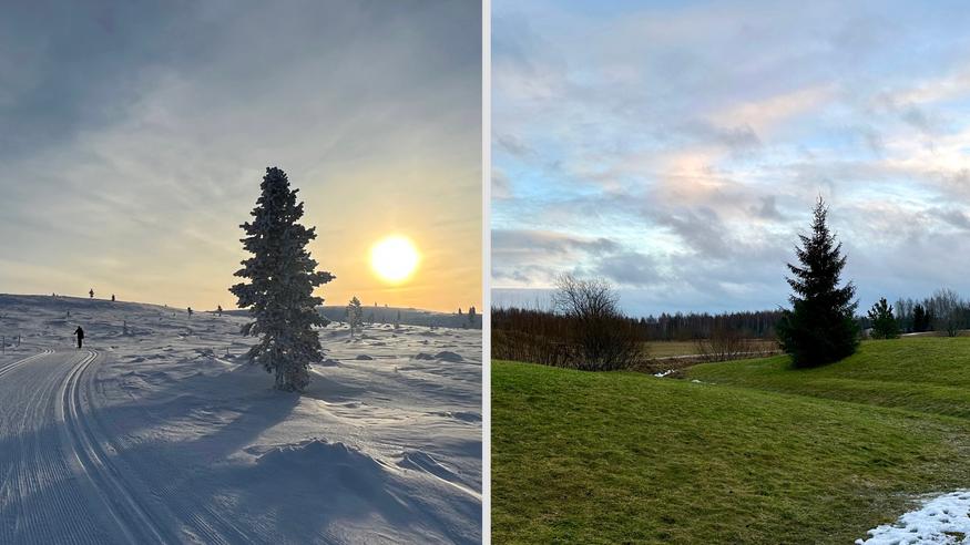 Kylmempi jakso alkaa: Lapissa voi olla jopa yli 35 pakkasastetta – näin meteorologi kommentoi etelän karua lumitilannetta