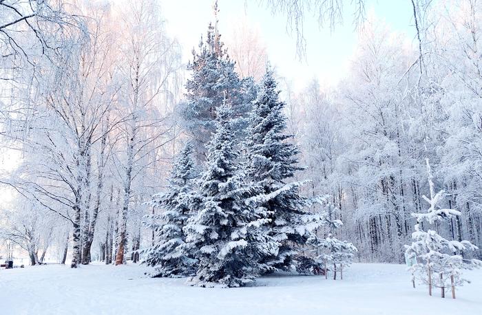 Selkeä sää on talvella usein myös kylmää.