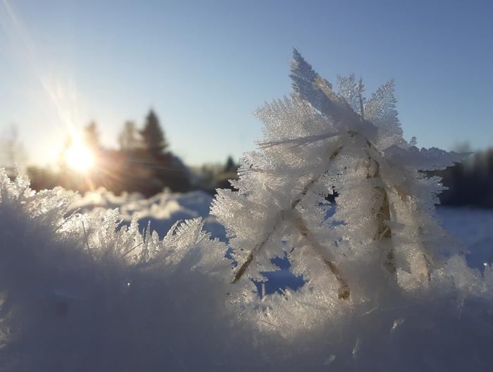 Jos on tarpeeksi kylmää, ilmassa oleva kosteus voi härmistyä kuuraksi pinnoille.