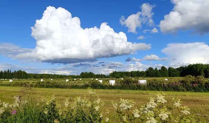 Aurinkoinen kesäpäivä.