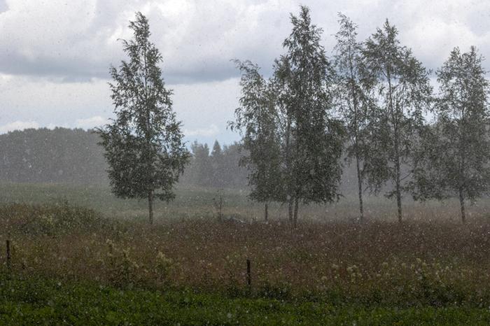 Sadekuuroissa rankimman sateen alue voi olla pieni, vain joitakin kilometrejä.